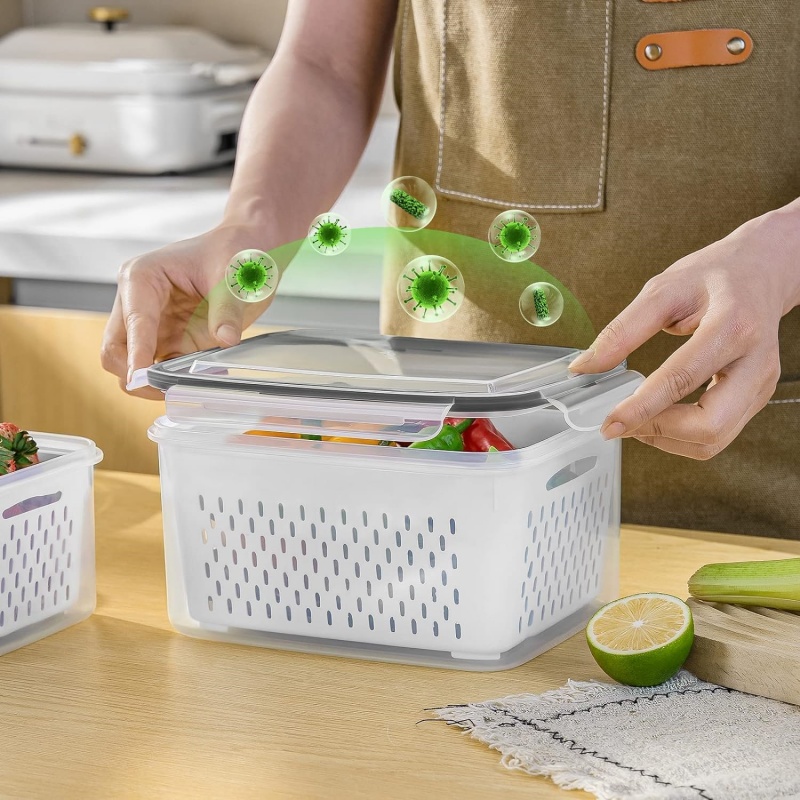 Kotak Penyimpanan Makanan Sega - Food Storage Oven Safe ulasan dan harga